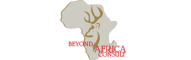 Beyond Africa Consult.png